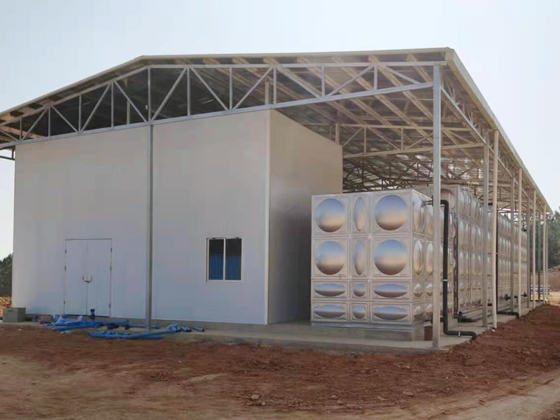 廣州壹號生物技術(shù)有限公司